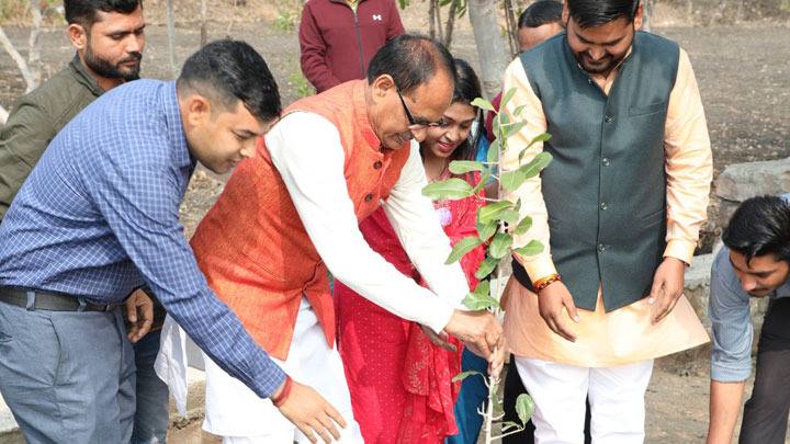 मुख्यमंत्री श्री चौहान ने सामाजिक संस्था के प्रतिनिधियों के साथ पौध-रोपण किया